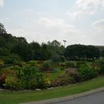 OTRA2014_0522 (August 28, 2014)